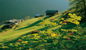 The Stelvio National Park