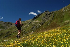 MTB in Val di Rabbi e Val di Sole