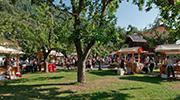 Farmer's market